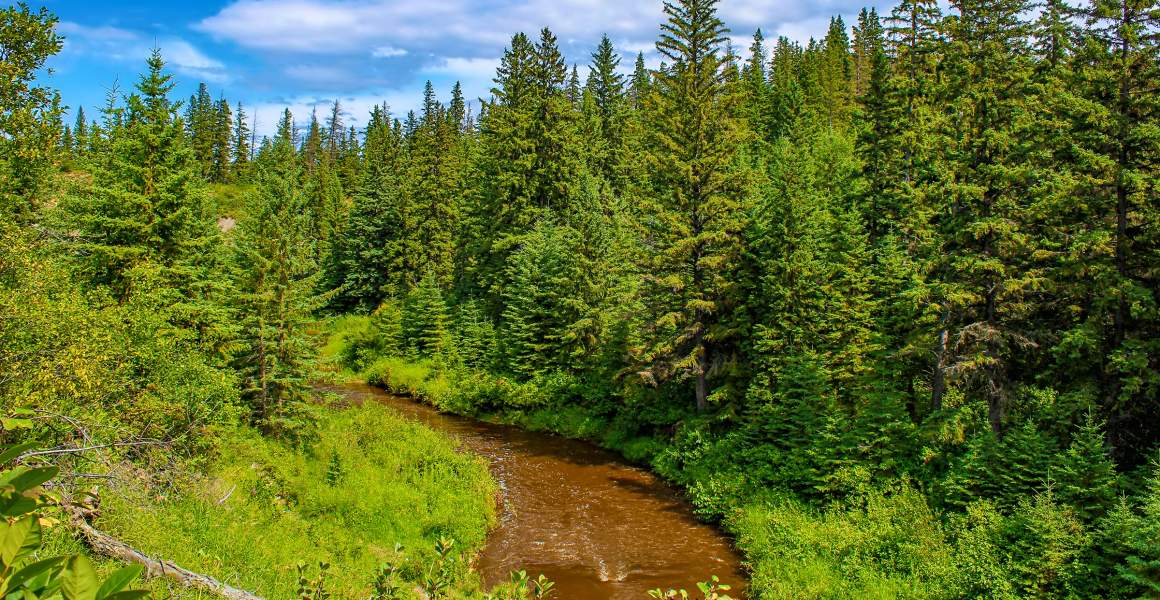 Whitecourt's lush woodlands provide endless opportunities for hiking and fishing | Discover AirSprint Private Aviation