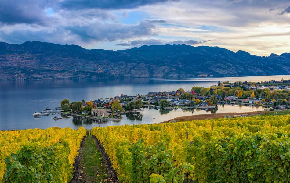 Aerial Shot Of Kelowna BC, Okanagan Valley, Wine Country