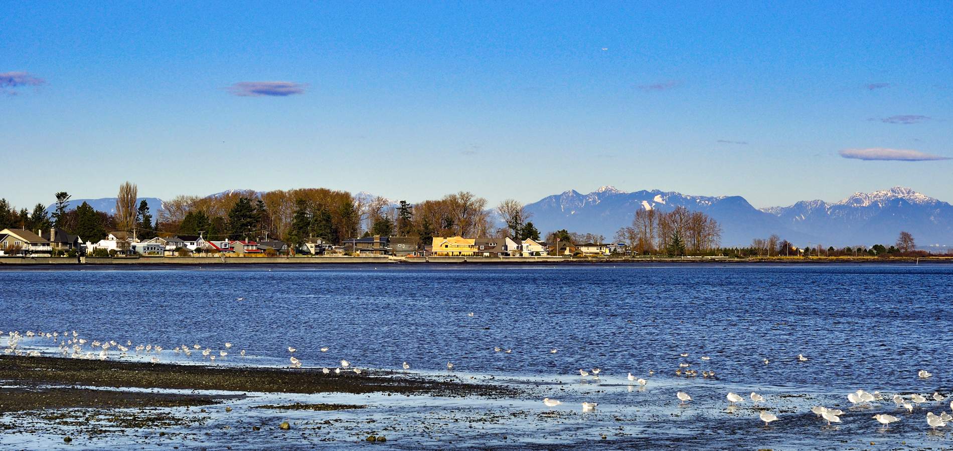 Private Jet Travel From Boundary Bay, British Columbia | AirSprint