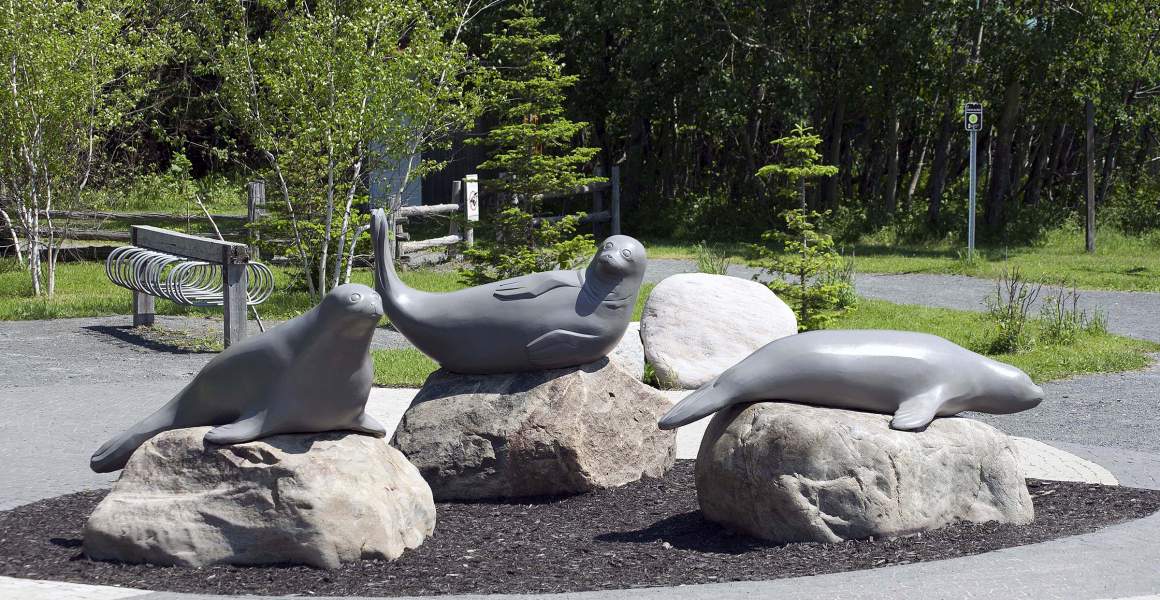 Marine Life Sculpture at Parc National du Bic | Discover AirSprint Private Aviation